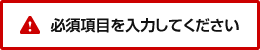 必須項目を入力してください